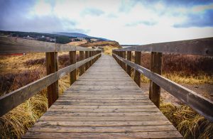 My-Oil-Tank-be-Replaced