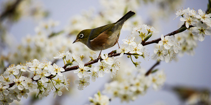 Comfortable house with Programmable Thermostats