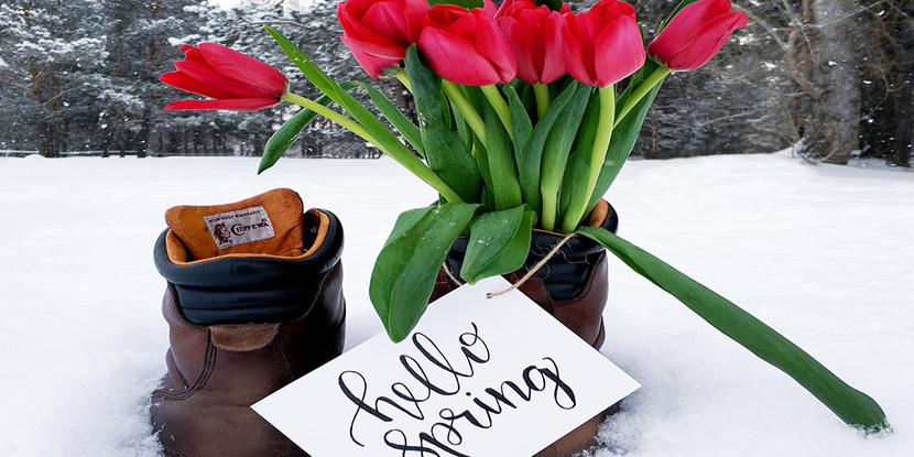 Regular-Furnace-Maintenance-Scotia-Fuels